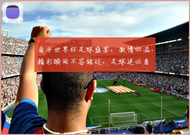 南非世界杯足球盛宴，激情四溢，精彩瞬间不容错过，足球迷必看