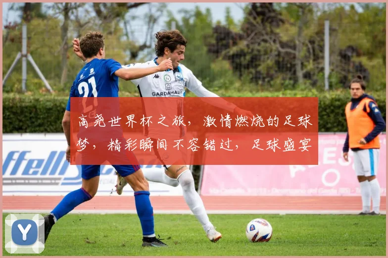 高尧世界杯之旅，激情燃烧的足球梦，精彩瞬间不容错过，足球盛宴等你来观
