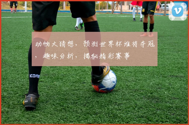 动物大猜想，预测世界杯谁将夺冠，趣味分析，揭秘精彩赛事